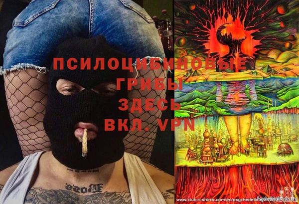 стаф Карталы