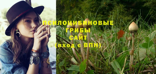 ПСИЛОЦИБИНОВЫЕ ГРИБЫ Каменногорск