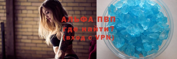 ПСИЛОЦИБИНОВЫЕ ГРИБЫ Каменногорск