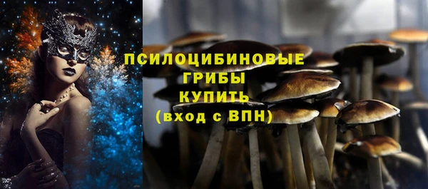 кокаин премиум Каменка