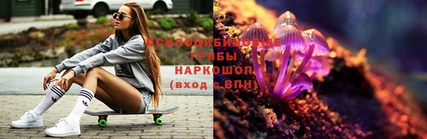 ALPHA-PVP Щигры