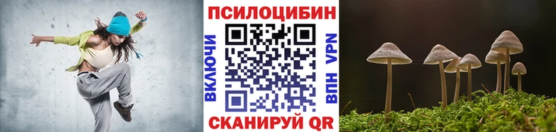 OMG tor  Старый Оскол  даркнет наркотические препараты  Псилоцибиновые грибы прущие грибы 