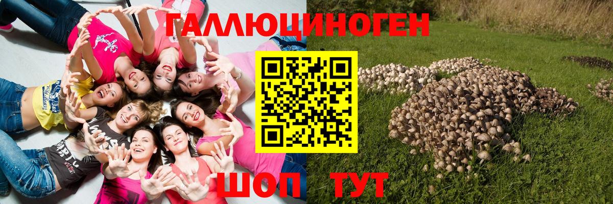 Псилоцибиновые грибы ЛСД Старый Оскол