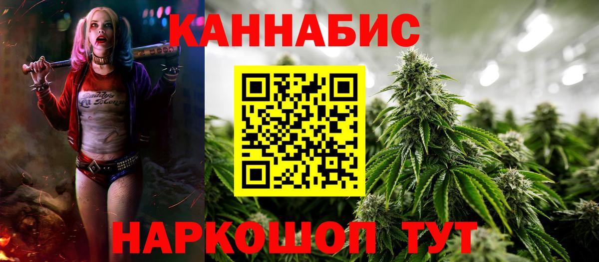 Марихуана White Widow  Марихуана планчик  Старый Оскол  МАРИХУАНА тримм  Вход с VPN 